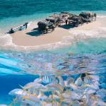 Cayo Arena: Paradise Island and Mangroves Tour - Photo 3 (Gallery view)