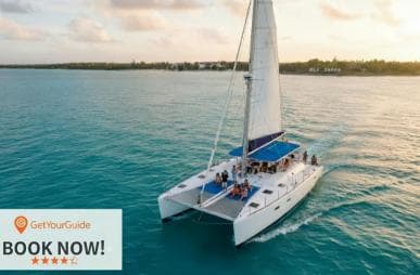 Saona Island Day Tour from Punta Cana with Lunch & Open Bar - Photo 3 (Gallery view)