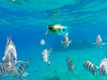 Snorkeling Tour & Sosua Beach Day - Photo 4 (Gallery view)