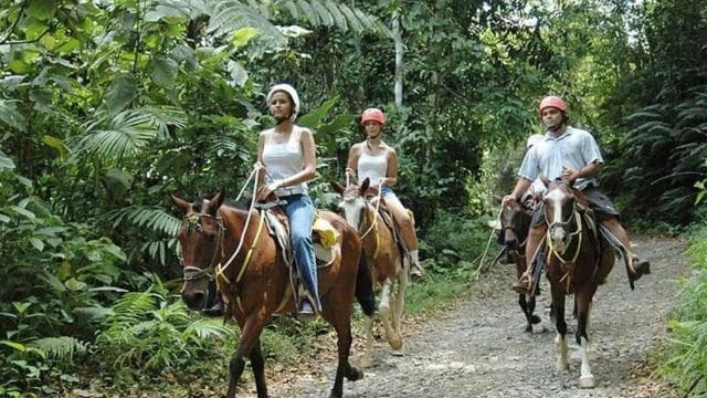 From Manuel Antonio: Horseback Riding with Lunch or Dinner - Dominican Republic