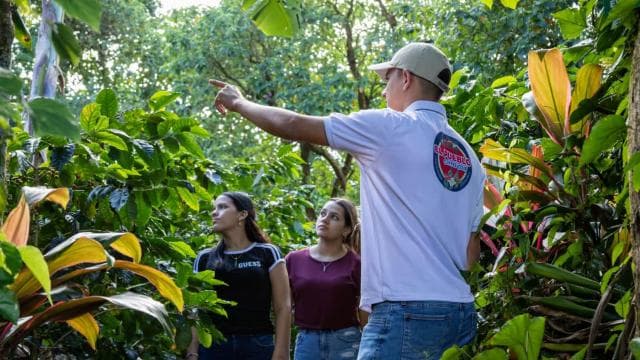 Monteverde: Coffee Tour and Sugar Cane El Pueblo - Photo 2 (Gallery view)
