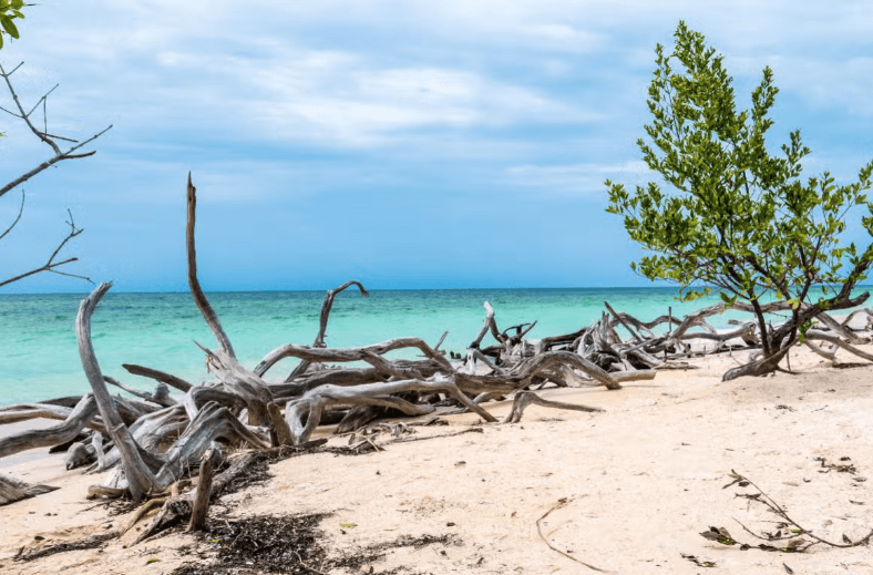 Trinidad, Cienfuegos, Viñales & los Cayos 9-day Tour - Dominican Republic