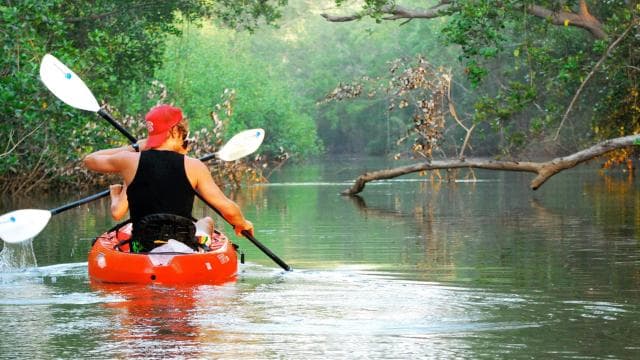 Tortuguero: Three Days & Two Nights All Included Tortuguero - Photo 3 (Gallery view)