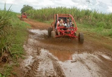 Bayahibe: Buggy tour amazing half-day - Photo 3 (Gallery view)