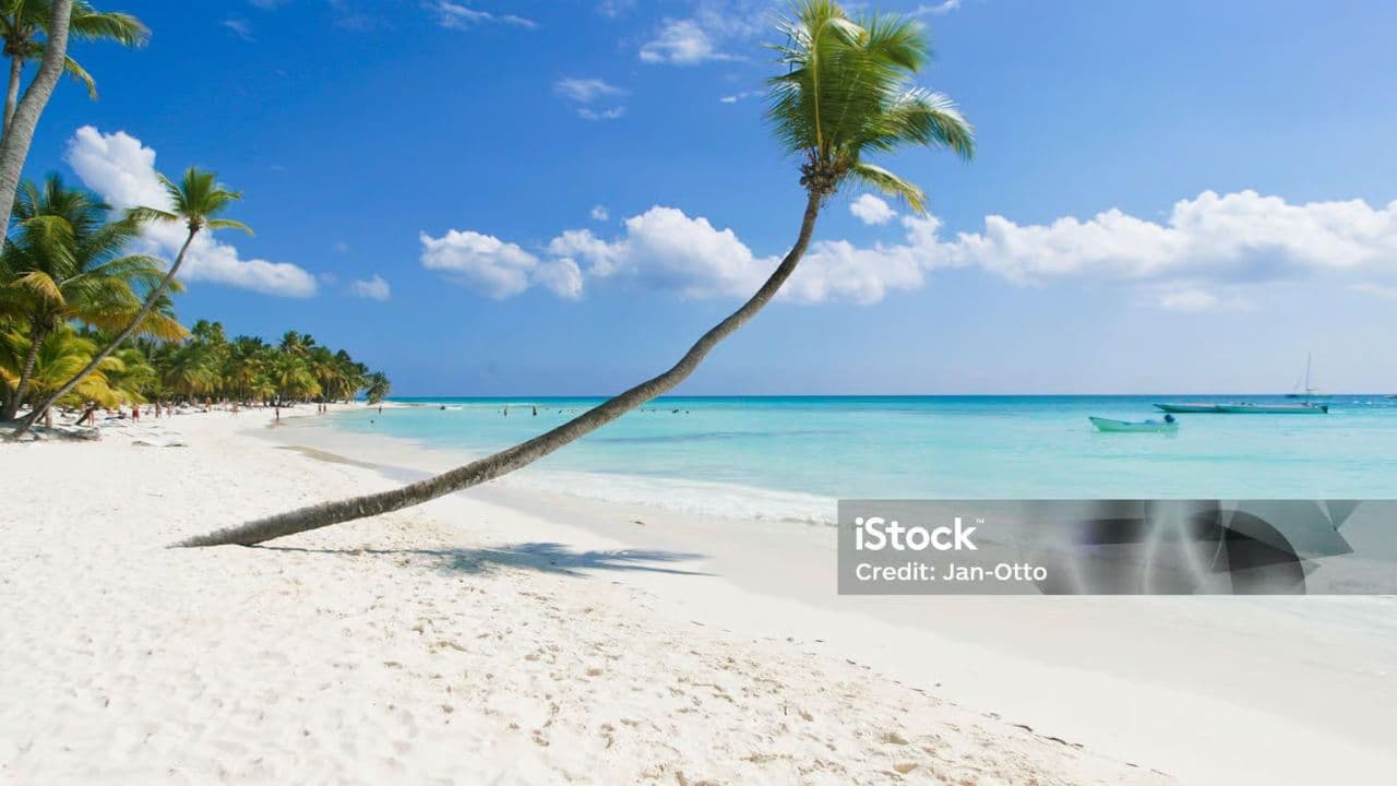 Saona Island - Full Day Open Bar, Lunch and Round Trip! - Photo 2 (Gallery view)