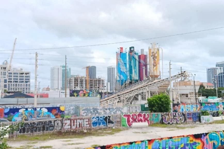 COMBO Miami City & Boat Tours ,Stops at Wynwood and Little Havana - Photo 3 (Gallery view)