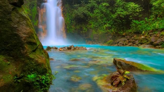 Z La Fortuna: Celodenní prohlídka Rio Celeste - Photo 4 (Gallery view)