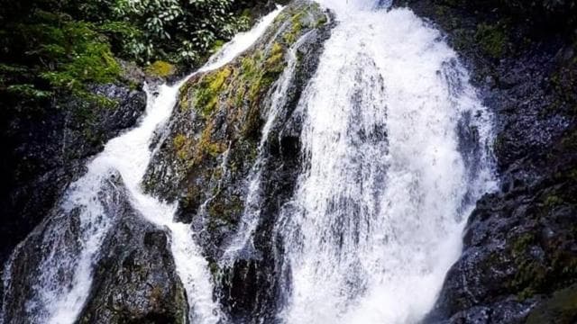 Jaco: Waterfall Rappelling & Jungle Tractor Tour - Photo 2 (Gallery view)