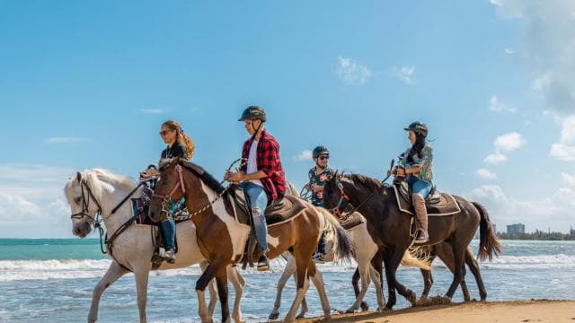 Carabalí Rainforest Park: Beach Horseback Riding - Dominican Republic