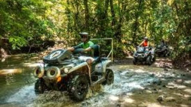 Carabalí Rainforest Park: 2-Hour UTV Adventure Tour - Photo 3 (Gallery view)