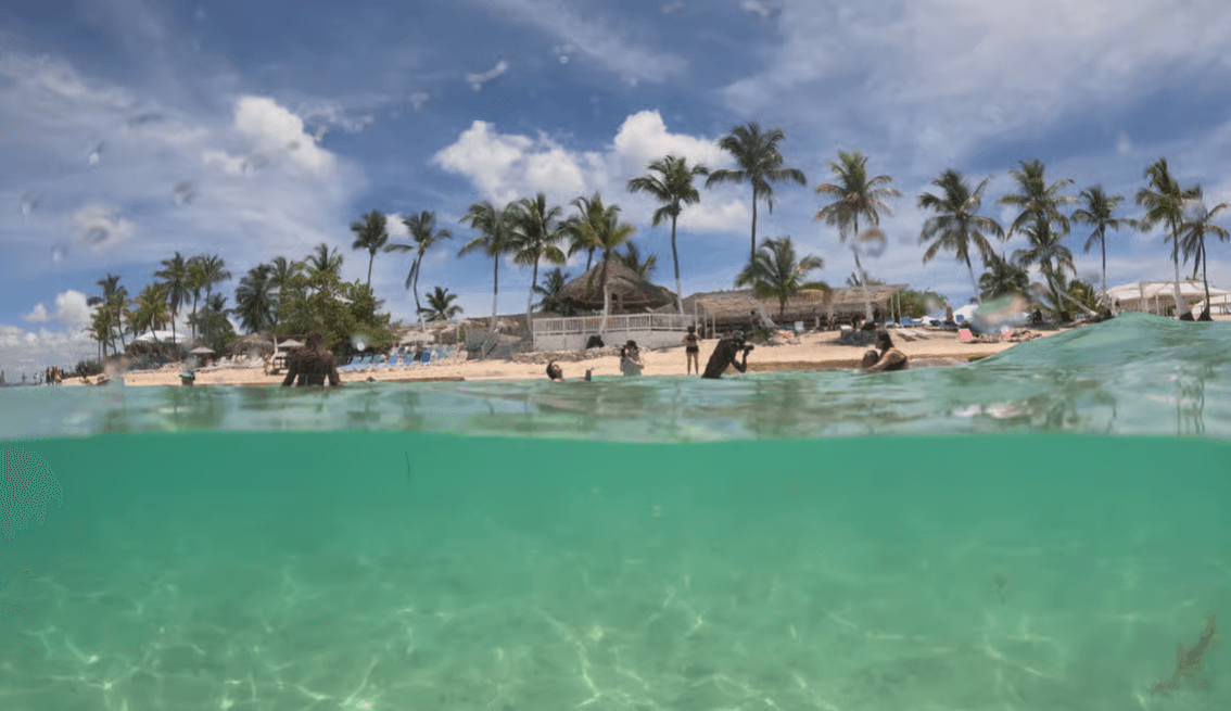 Isla Catalina Todo Incluido: Snorkel, Playa Tropical y Almuerzo Buffet - Photo 2 (Gallery view)