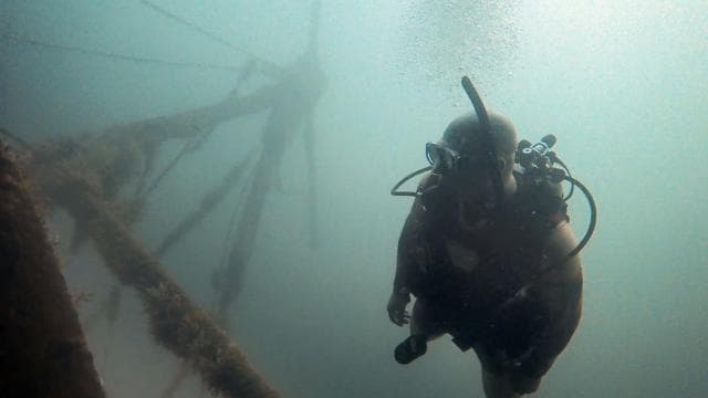 Golfito, Costa Rica: Amazing Day Wreck &/or Reef Dive Trips - Photo 5 (Gallery view)