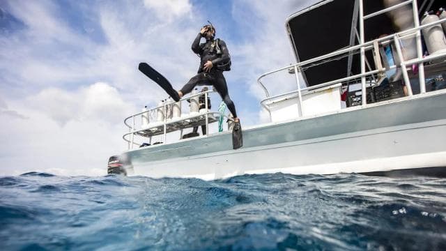 Las Catalinas: Discover Scuba Diving at Flamingo & Tamarindo - Photo 4 (Gallery view)