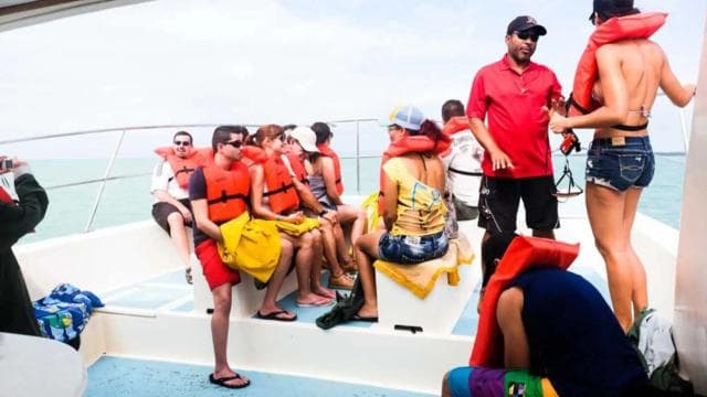 Whale Watching from Miches Hotels | Cayo Levantado Lunch Included - Photo 5 (Gallery view)
