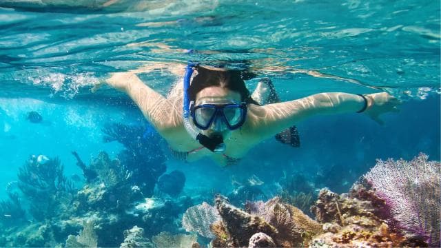 LICENSED Two-Hour Snorkeling Adventure Cahuita National Park - Photo 4 (Gallery view)