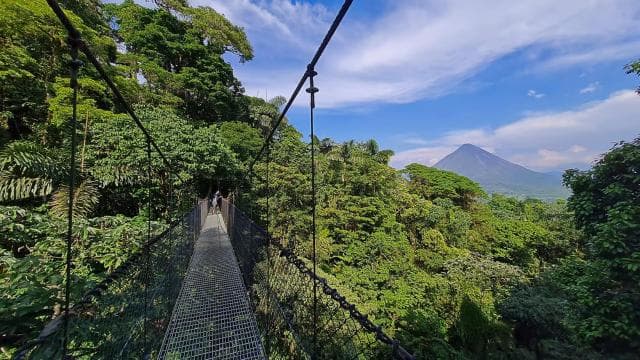 Fortuna Combo: Hanging Bridges + Arenal Volcano & Waterfall - Photo 5 (Gallery view)
