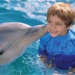 Incontro con i delfini all'Ocean World, Puerto Plata - Photo 2 (Gallery view)
