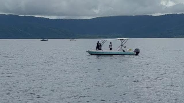 Puerto Jiménez: Dolphin Watching with a Snorkeling Stop - Photo 5 (Gallery view)