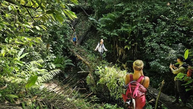 Full Day Adventure Corcovado - Photo 5 (Gallery view)