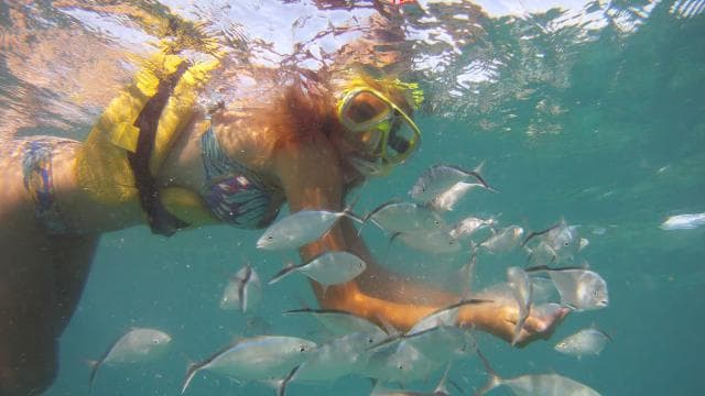 Punta Cana Happy Hour Sailing Cruise - Dominican Republic