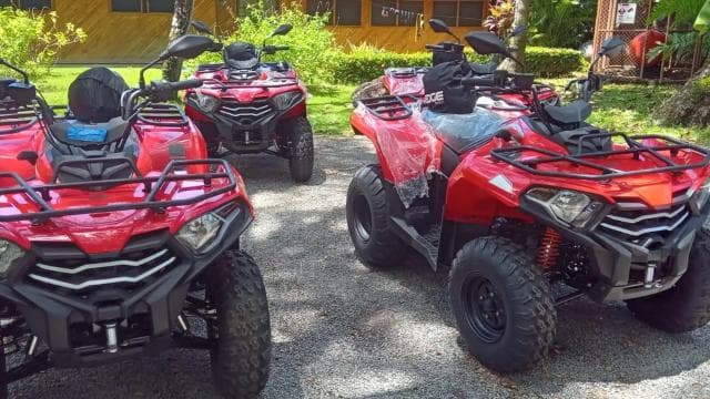 From Tambor: ATV and Zipline Tour with Waterfall Swim - Photo 2 (Gallery view)