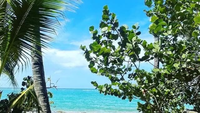 Тур El Yunque & Piñones; Ходіть у похід, їжте та відпочивайте як місцевий житель - Photo 4 (Gallery view)