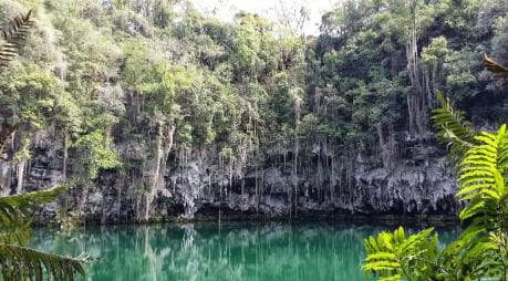 Santo Domingo: Natural Treasures of the City - Dominican Republic