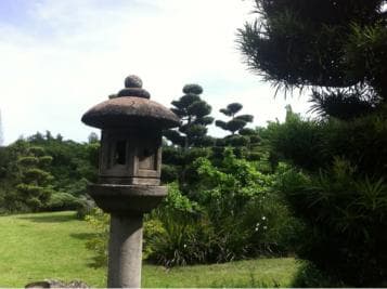 Santo Domingo: Natural Treasures of the City - Photo 3 (Gallery view)