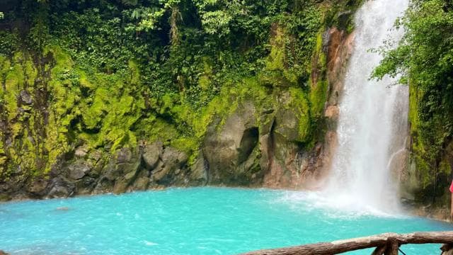 Rio Celeste, explore the rainforest and great waterfall - Photo 3 (Gallery view)