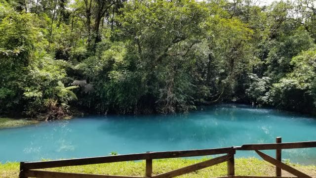 La Fortuna: Rio Celeste Waterfall and National Park Tour - Photo 4 (Gallery view)
