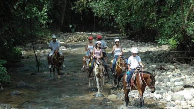 From Manuel Antonio: Horseback Riding with Lunch or Dinner - Photo 3 (Gallery view)