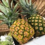 Full day Saona Island adventure - Photo 5 (Gallery view)