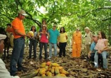 Private: Cacao Plantation Tour with Lunch & Tasting - Photo 2 (Gallery view)