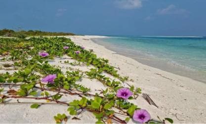 Private: Lunch on a Catamaran Cruise Around Catalina Island - Dominican Republic