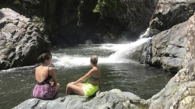 Puerto Rico: El Yunque Rainforest Guided Tour with Transfers - Photo 2 (Gallery view)
