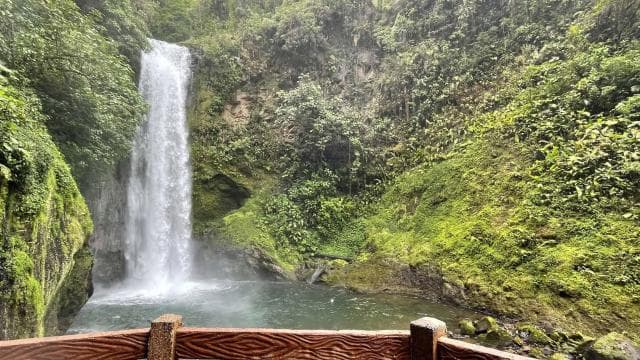 From San Jose: La Paz Waterfall Gardens Guided Day Tour - Photo 4 (Gallery view)