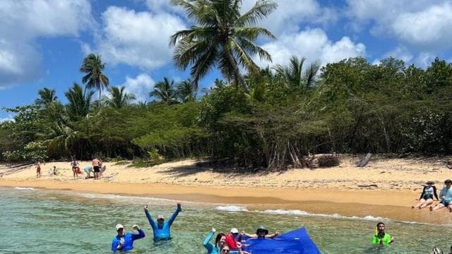 Vieque: tur cu snorkel și plajă cu barca țestoasă cu prânz - Photo 4 (Gallery view)