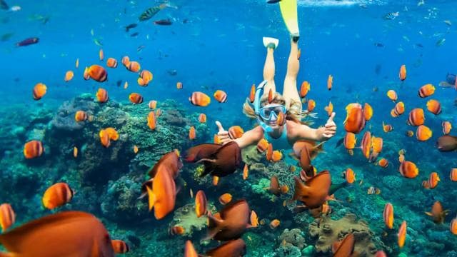 Flamingo & Tamarindo : Snorkeling at Las Catalinas Islands - Photo 4 (Gallery view)