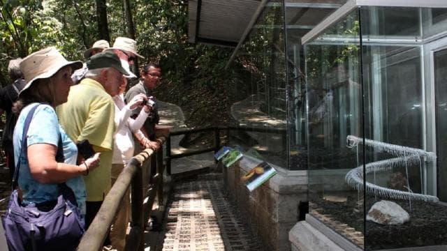From San Jose: Braulio Carillo National Park Rainforest Tram - Photo 5 (Gallery view)