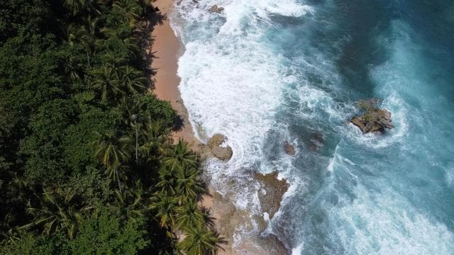 Epikus Manzanillo kombinált túra: snorkel, delfinek és farmtúra - Photo 3 (Gallery view)