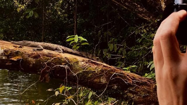 Tortuguero Canal Tour with history from Limon - Photo 5 (Gallery view)