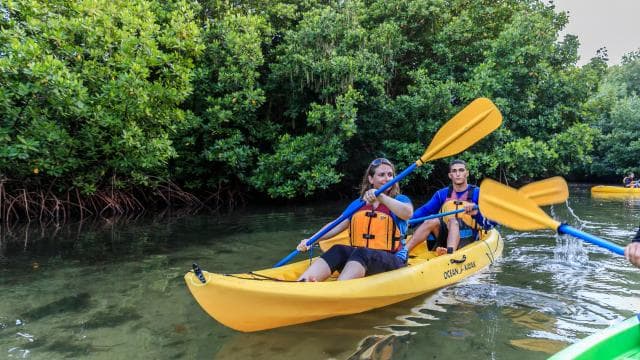 San Juan: Bioluminescent Laguna Grande Bay Night Kayaking - Photo 4 (Gallery view)