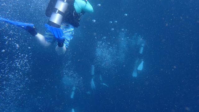 Golfito CR: Discover Scuba Diving Tour, No Experience Needed - Photo 5 (Gallery view)