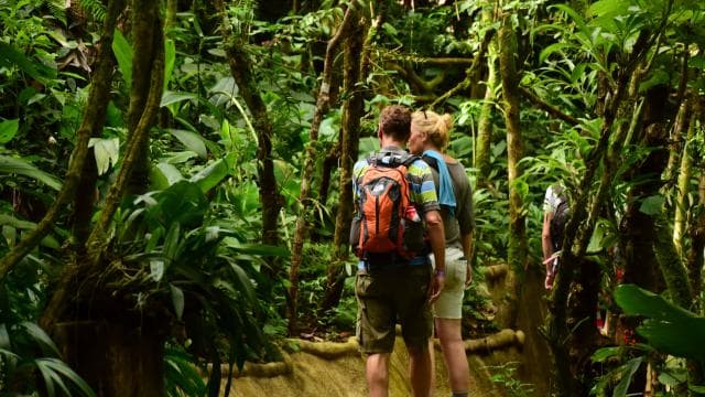 La Fortuna Waterfall Hike & Farm Lunch - Photo 3 (Gallery view)