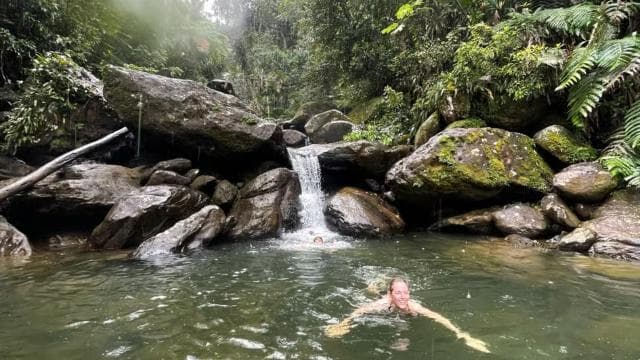 El Yunque: Hidden Off The Path Waterfall Hike w/ Transport - Photo 5 (Gallery view)