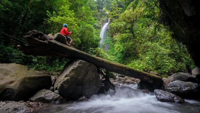 Monteverde: Waterfalls, Wild Trekking and Horseback Riding - Photo 4 (Gallery view)