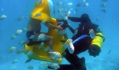 Punta Cana: Scoba Doo Discover the Underwater Wonders - Photo 5 (Gallery view)