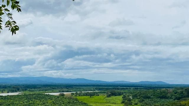 Uvita: Archaeological Sites with Spheres Stone - Photo 3 (Gallery view)