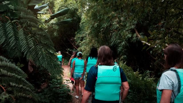 Luquillo: El Yunque Rainforest Hike and Waterslide Adventure - Photo 3 (Gallery view)