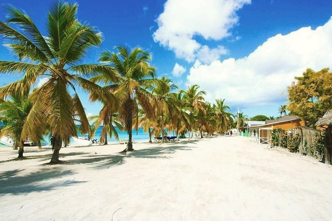 Saona Relax Tour - Photo 3 (Gallery view)